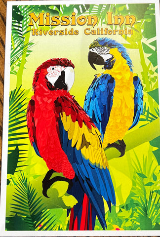 Macaws in Jungle Postcard